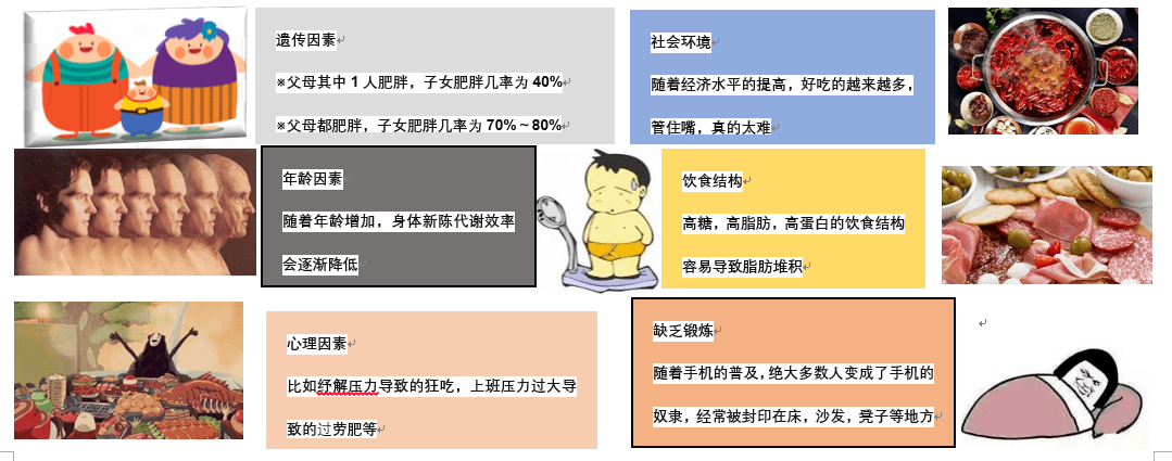 5月11日是世界防治肥胖日 肥胖是多种疾病诱因 科学减重很重要