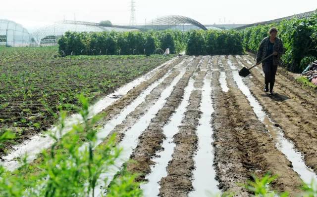 多部门采取措施应对旱情