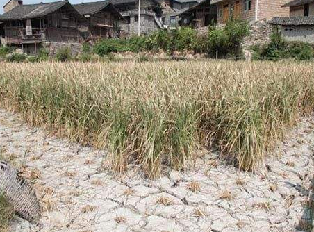 多部门采取措施应对旱情