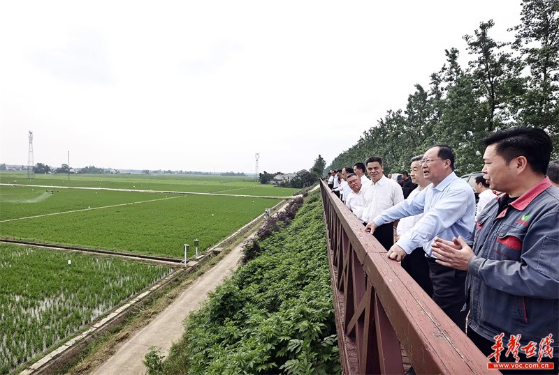 科技助力河南高标准农田抗旱保丰收