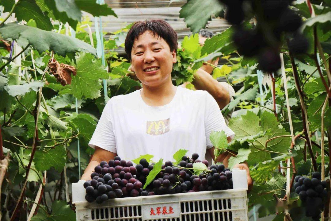 江西践行大农业观、大食物观—— 扛稳“米袋子” 拎好“菜篮子” 鼓起“钱袋子”