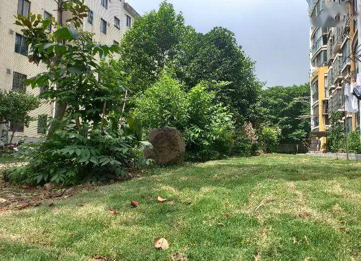 留白增绿，拆违建绿，见缝插绿 住建部要求因地制宜建设口袋公园