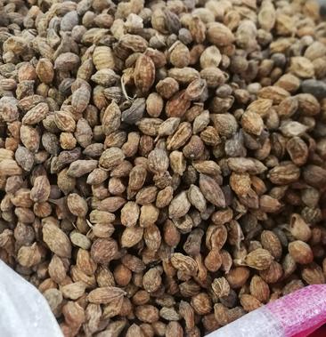 “真火”还是“虚火” 多个品类中药材价格大涨