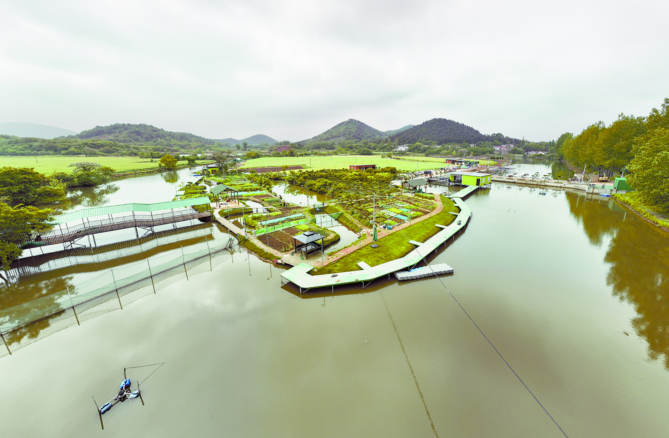 陕西：生态建设赋能乡村振兴