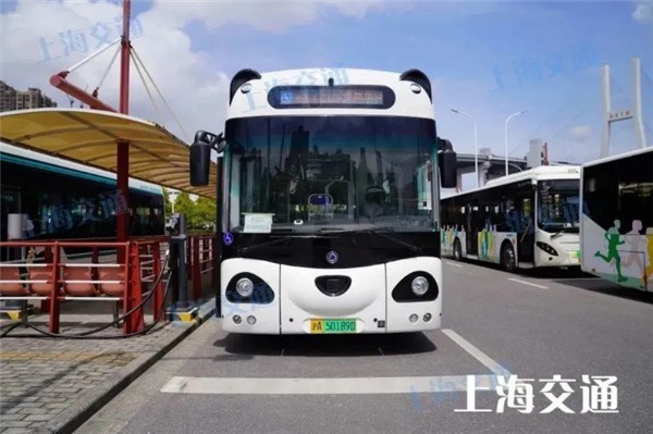 打卡“熊猫公交” 畅游夏日北京