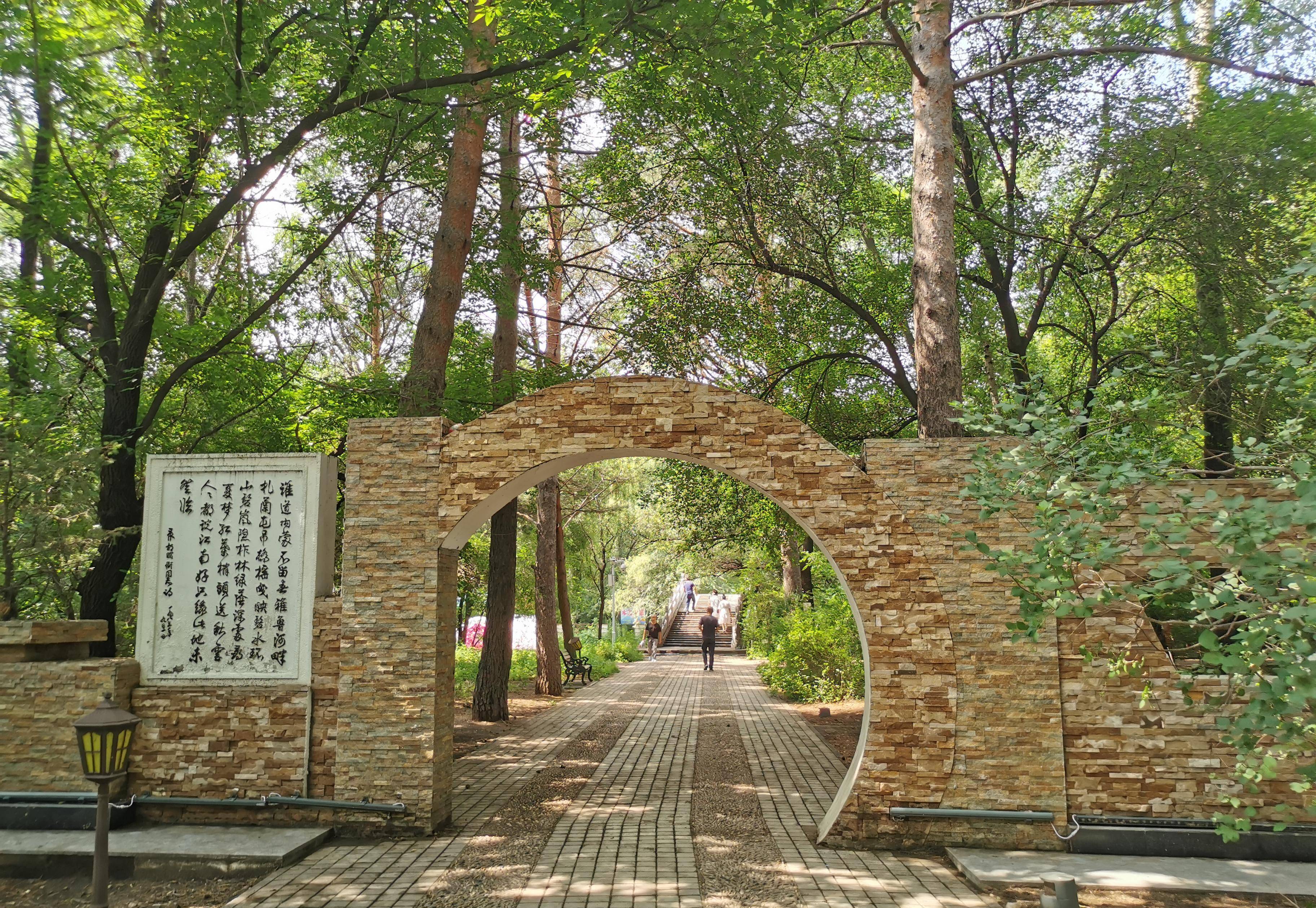 内蒙古扎兰屯：林间游玩享清凉