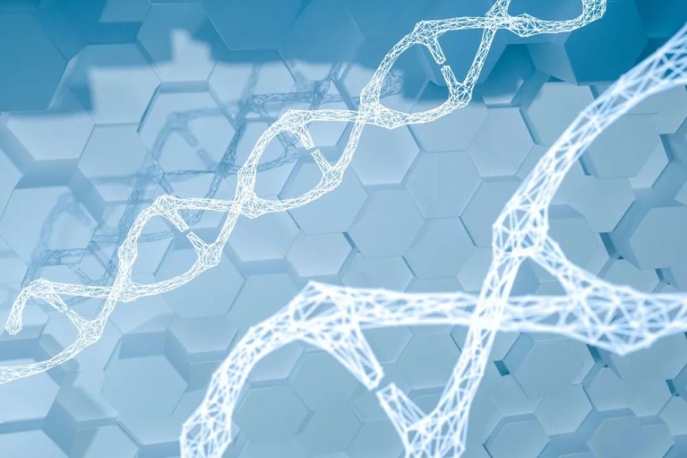 CRO概念大涨，美《生物安全法案》立法存变数？华大基因这样回应