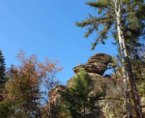 “中国林都”迎来夏季旅游高峰