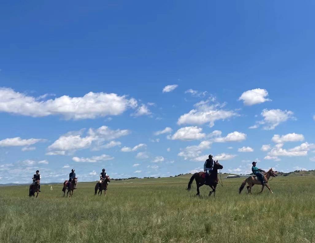 “黄金草原”白音锡勒