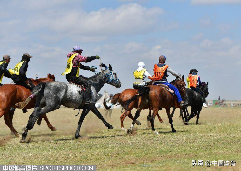 “黄金草原”白音锡勒