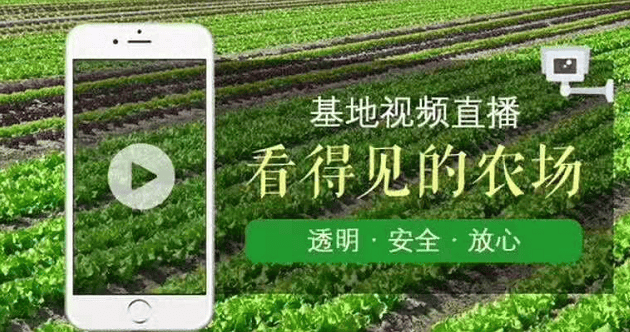 “云认养”兴起，消费者热衷当线上农场主