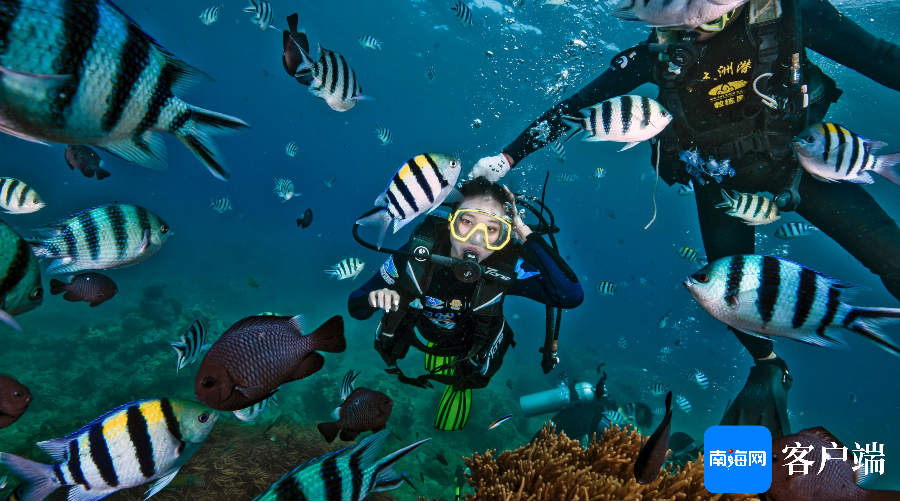 订单同比增长211% 广西入境游迎来“暑期热”