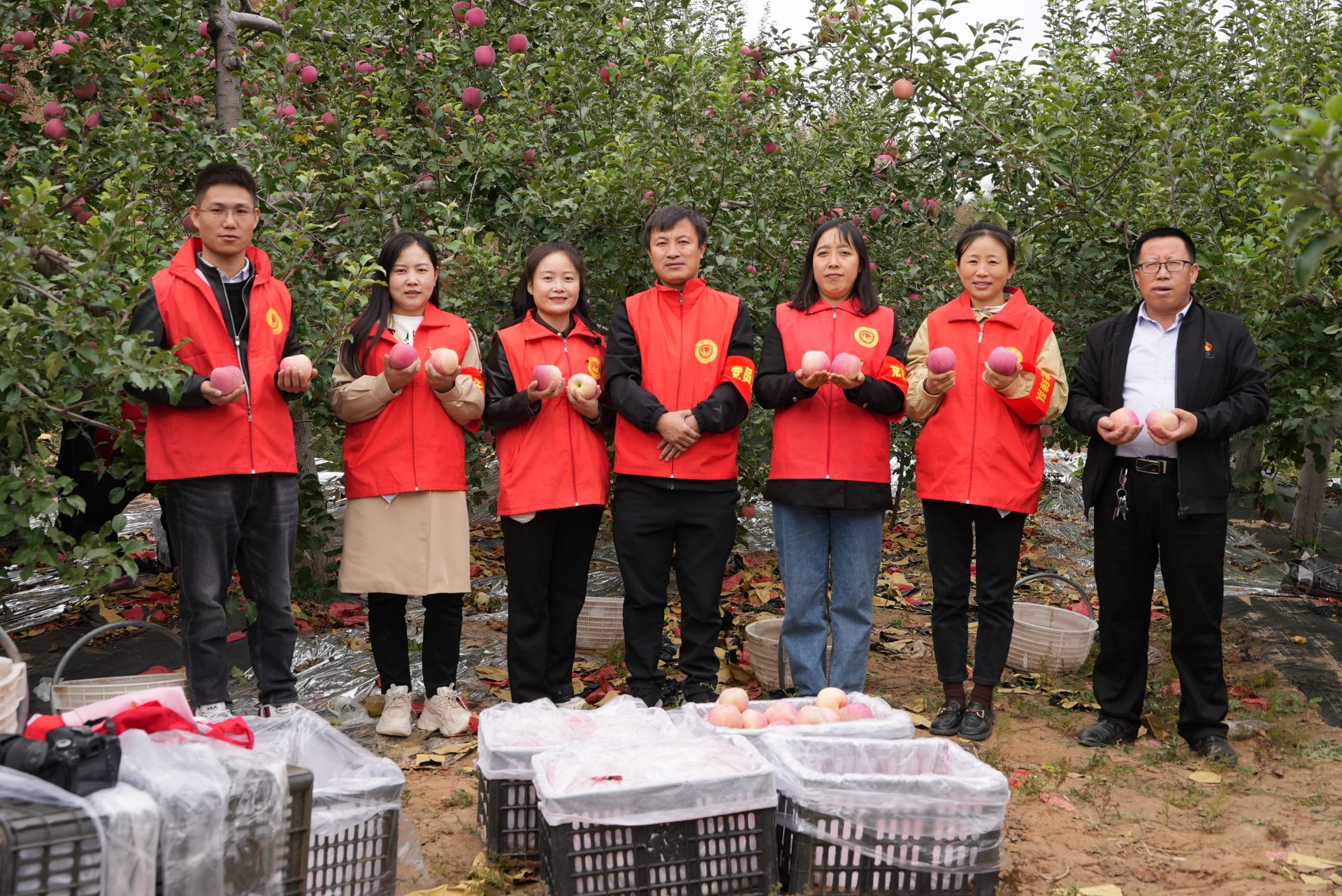 公益助农志愿者助力果农增收致富