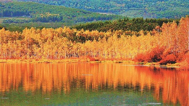 哈尔滨大力推进湿地保护 湿地旅游热度升温