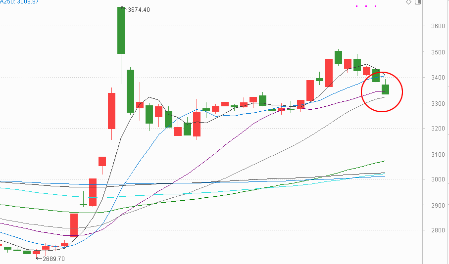 证监会发布市值管理指引，银行股大爆发（附市净率排名）