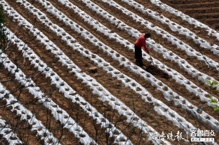 布局“春播”行情正当时,摩根90天持有期债券型基金正在发行中