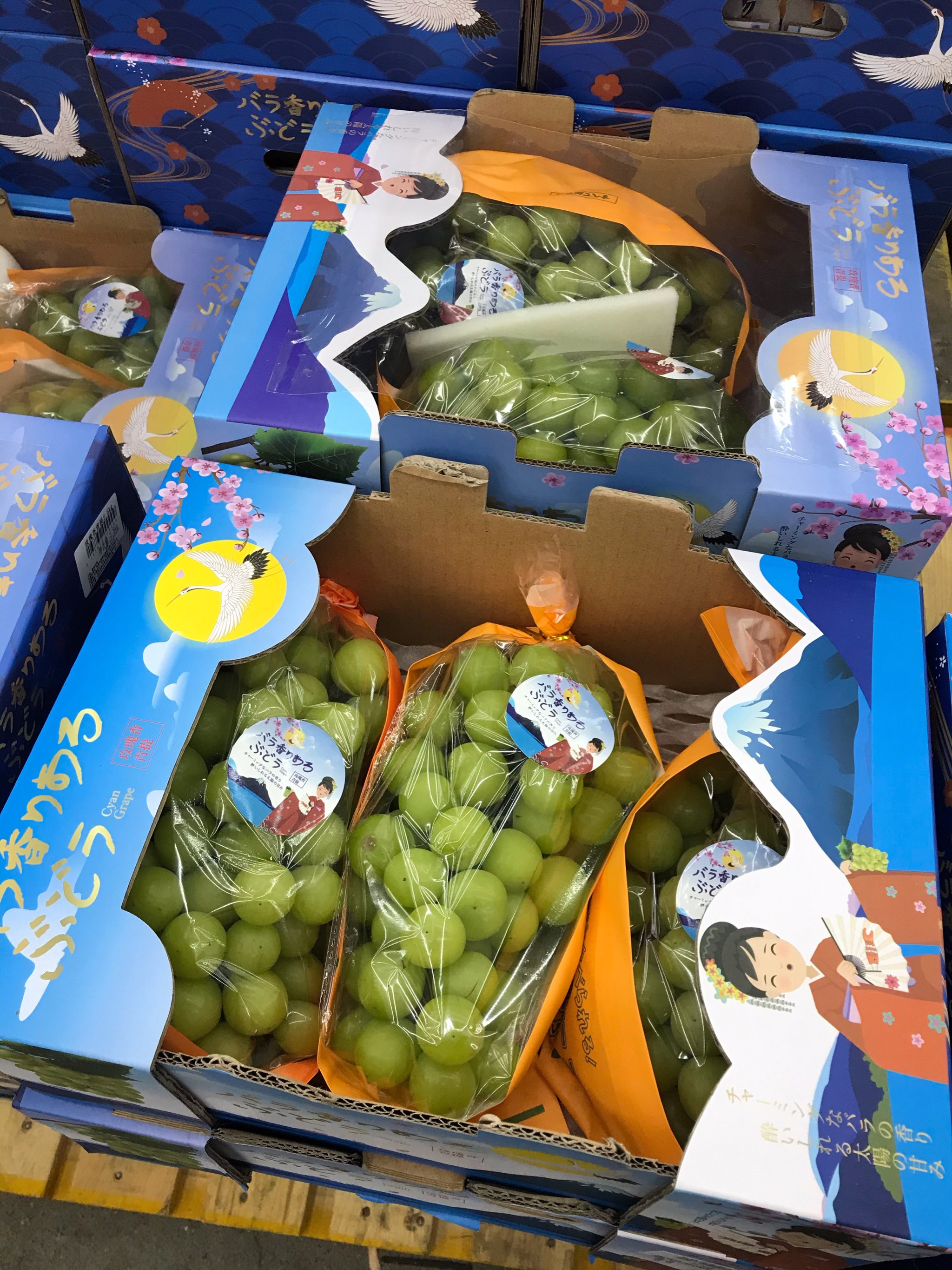 抢疯了！连续5日爆买百亿