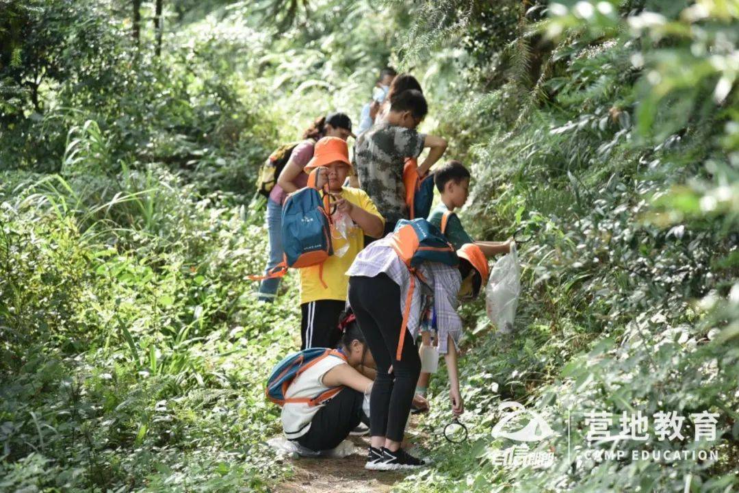 来扶鹰育精英 用生命影响生命