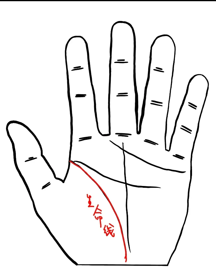手臂里的“生命线”
