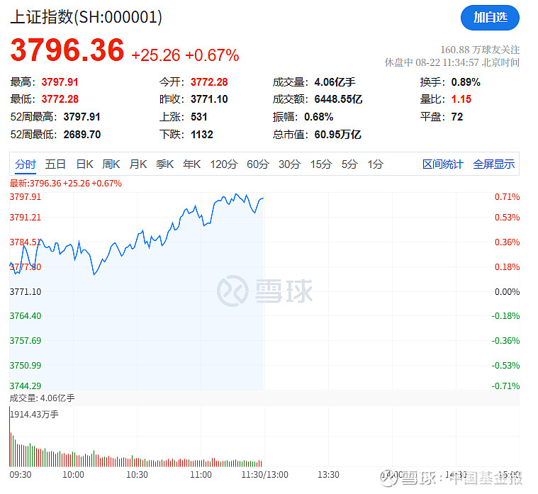 A股收评：科创50指数涨超3%创年内新高 芯片股集体爆发