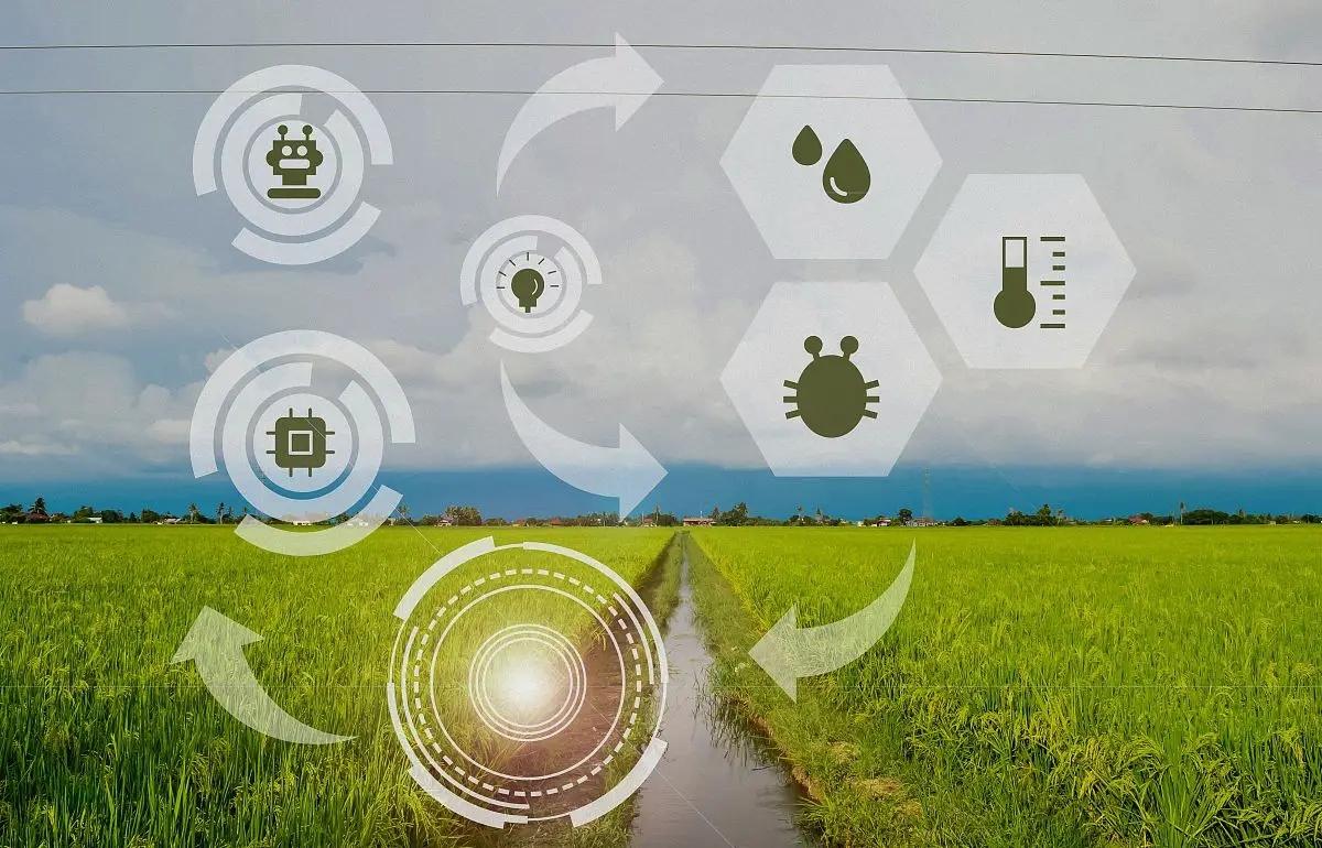 A500持续吸金背后,或是中国核心资产的价值重塑